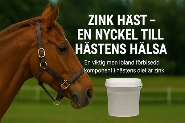 Zink häst - en nyckel till hästens hälsa